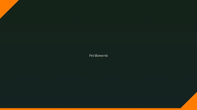 萌宠时刻主题赛 - 彩娱乐网址 UGC视频竞赛